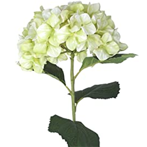 Gisela Graham Antique  Giant Hydrangea